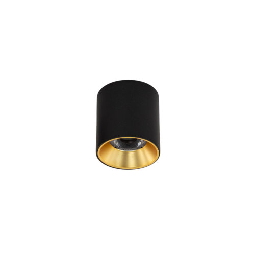 Surface mounted ceiling light Lux Altisma – surface mounted ceiling lights in matt black and aluminum