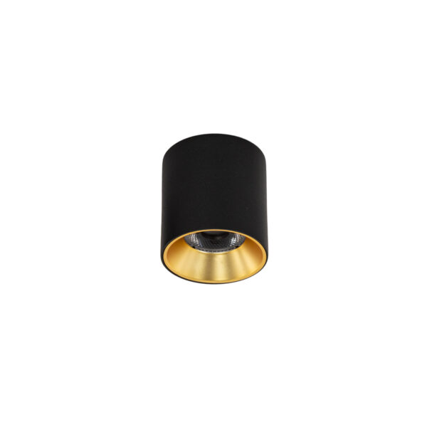 Surface mounted ceiling light Lux Altisma – surface mounted ceiling lights in matt black and aluminum