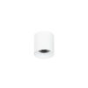 Surface mounted ceiling light Lux Altisma – surface mounted ceiling lights in matt white and aluminum
