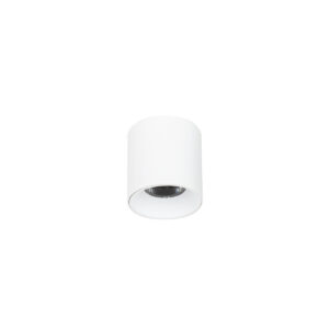 Surface mounted ceiling light Lux Altisma – surface mounted ceiling lights in matt white and aluminum