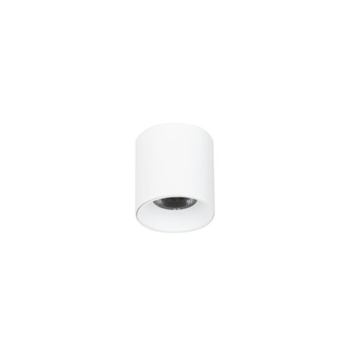 Surface mounted ceiling light Lux Altisma – surface mounted ceiling lights in matt white and aluminum