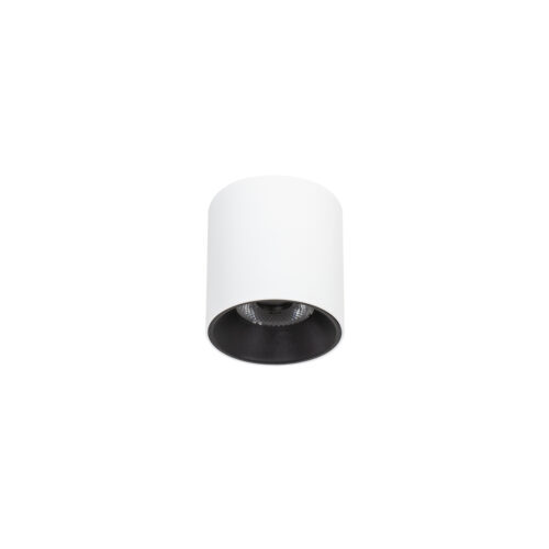 Surface mounted ceiling light Lux Altisma – surface mounted ceiling lights in white