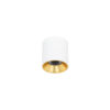 Surface mounted ceiling light Lux Altisma – surface mounted ceiling lights in white
