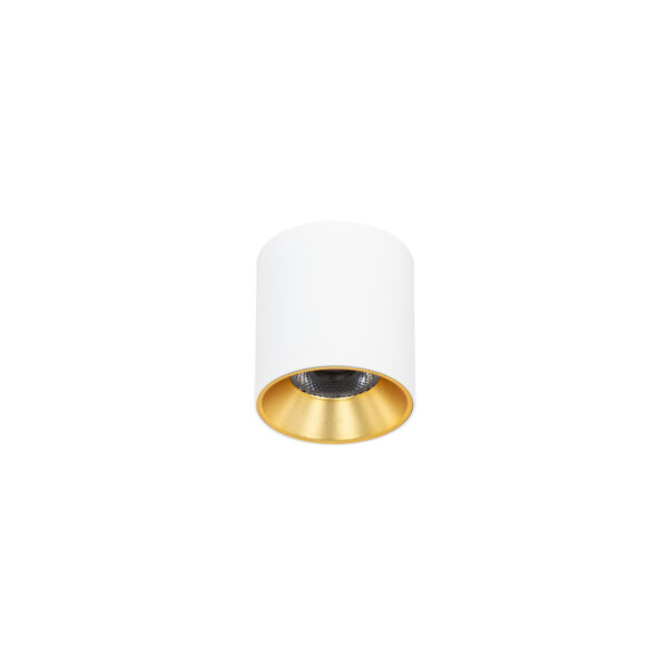 Surface mounted ceiling light Lux Altisma – surface mounted ceiling lights in white