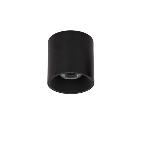 Surface mounted ceiling light Lux Altisma – surface mounted ceiling lights in matt black and aluminum