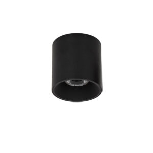 Surface mounted ceiling light Lux Altisma – surface mounted ceiling lights in matt black and aluminum