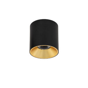 Surface mounted ceiling light Lux Altisma – surface mounted ceiling lights in white