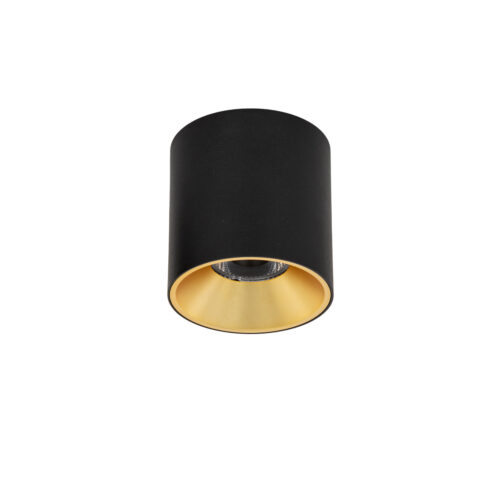 Surface mounted ceiling light Lux Altisma – surface mounted ceiling lights in white
