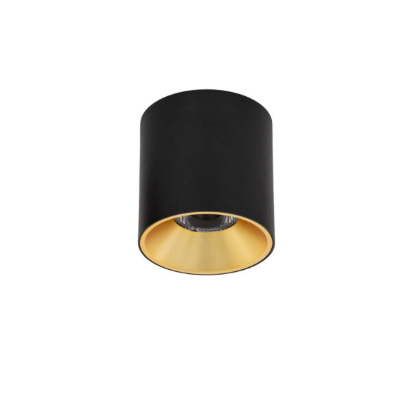 Surface mounted ceiling light Lux Altisma – surface mounted ceiling lights in white