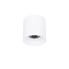 Surface mounted ceiling light Lux Altisma 15w – surface mounted ceiling lights in matt white and aluminum