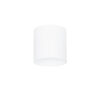 Surface mounted ceiling light Lux Altisma 15w