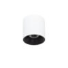 Surface mounted ceiling light Lux Altisma – surface mounted ceiling lights in white