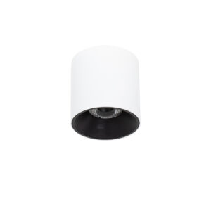 Surface mounted ceiling light Lux Altisma – surface mounted ceiling lights in white