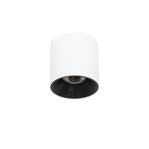 Surface mounted ceiling light Lux Altisma – surface mounted ceiling lights in white