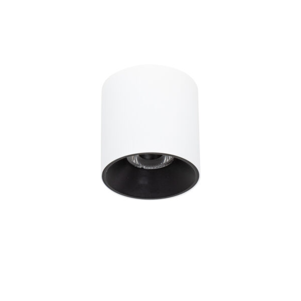 Surface mounted ceiling light Lux Altisma – surface mounted ceiling lights in white