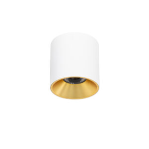 Surface mounted ceiling light Lux Altisma – surface mounted ceiling lights in white