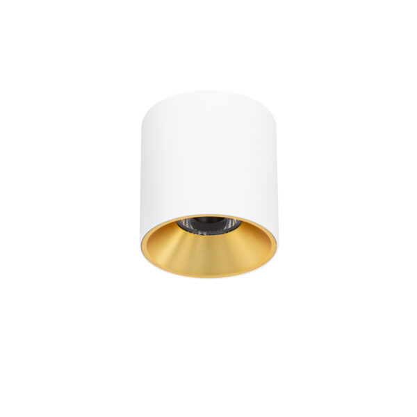 Surface mounted ceiling light Lux Altisma – surface mounted ceiling lights in white