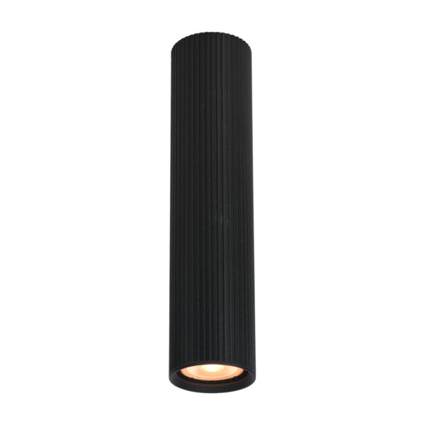 Surface mounted ceiling light Lux Rilok – surface mounted ceiling lights in sandblasted black and aluminum
