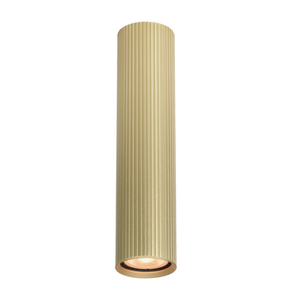 Surface mounted ceiling light Lux Rilok – surface mounted ceiling lights in gold and aluminum