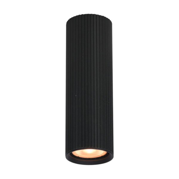 Surface mounted ceiling light Lux Rilok – surface mounted ceiling lights in sandblasted black and aluminum