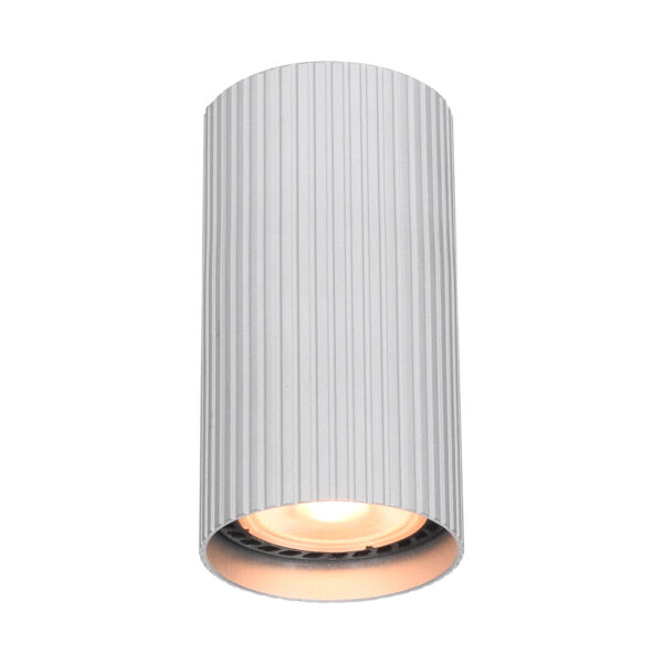 Surface mounted ceiling light Lux Rilok – surface mounted ceiling lights in aluminium and aluminum