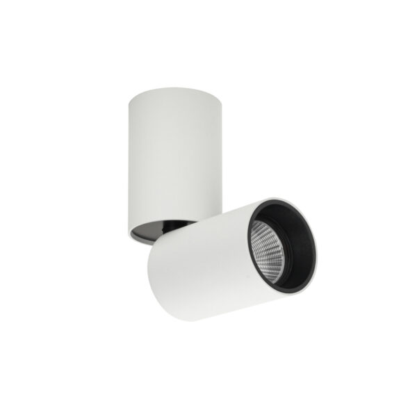 Surface mounted ceiling light Lux Camali 12w