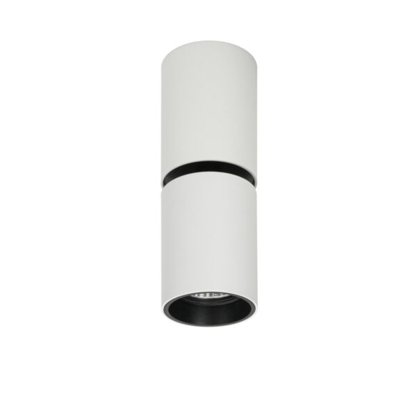 Surface mounted ceiling light Lux Camali 12w