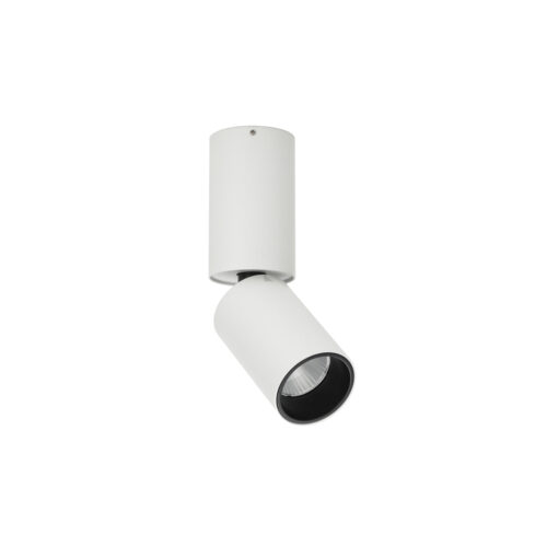 Surface mounted ceiling light Lux Camali – surface mounted ceiling lights in white