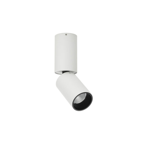 Surface mounted ceiling light Lux Camali – surface mounted ceiling lights in white