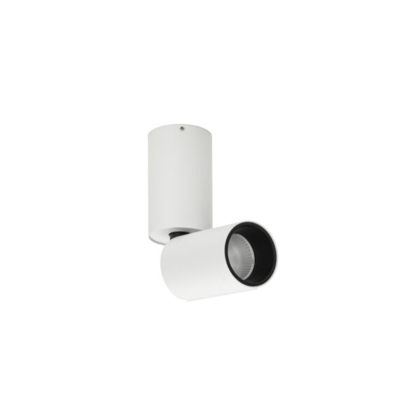 Surface mounted ceiling light Lux Camali