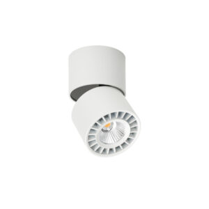Surface mounted ceiling light Lux Herios – surface mounted ceiling lights in white