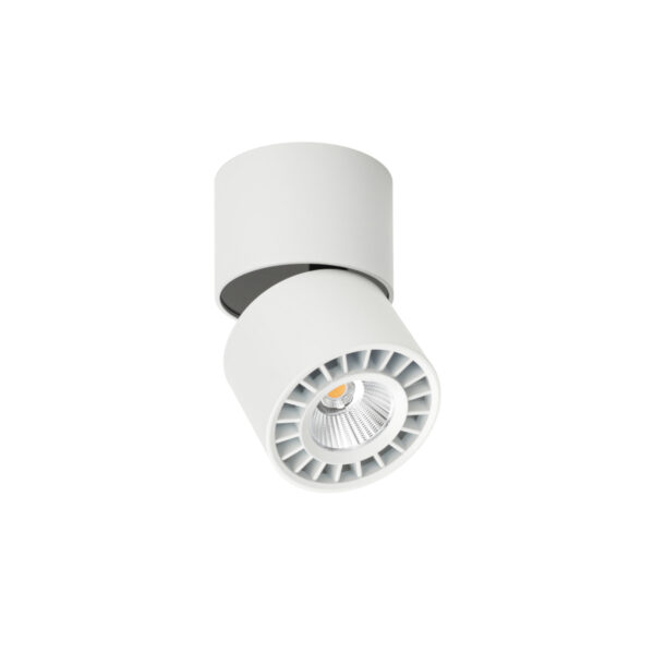 Surface mounted ceiling light Lux Herios – surface mounted ceiling lights in white