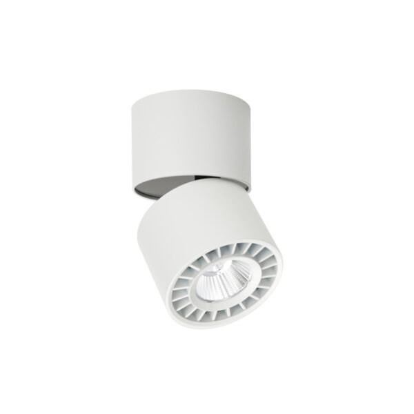 Surface mounted ceiling light Lux Herios