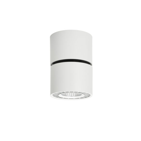 Surface mounted ceiling light Lux Herios