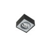 Surface mounted ceiling light Lux Lauren – surface mounted ceiling lights in black and metal