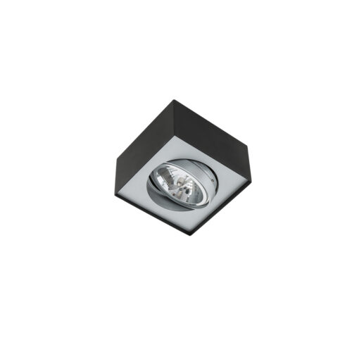 Surface mounted ceiling light Lux Lauren – surface mounted ceiling lights in black and metal