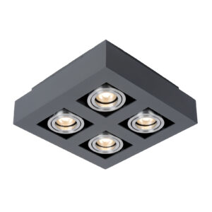 Surface mounted ceiling light Lux Casemiro – surface mounted ceiling lights in black