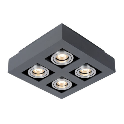 Surface mounted ceiling light Lux Casemiro – surface mounted ceiling lights in black