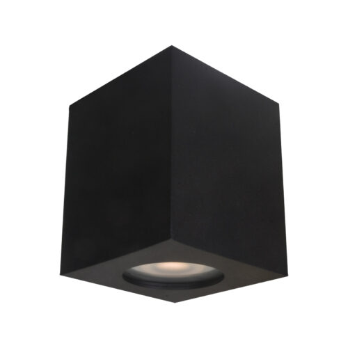Surface mounted ceiling light Lux Fabrycio 50w – surface mounted ceiling lights in black and steel