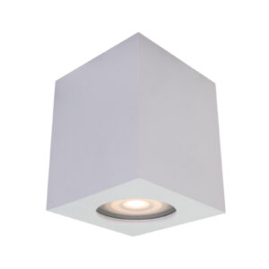 Surface mounted ceiling light Lux Fabrycio – surface mounted ceiling lights in white and steel