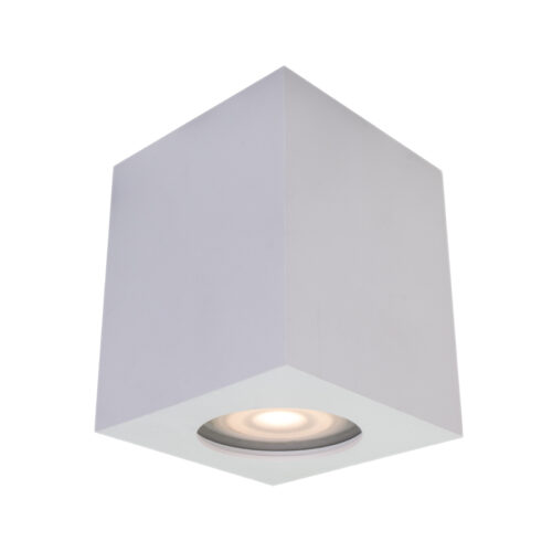 Surface mounted ceiling light Lux Fabrycio – surface mounted ceiling lights in white and steel