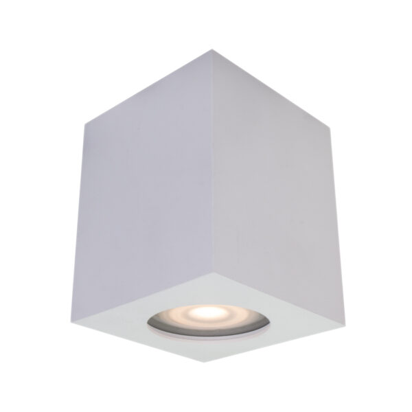 Surface mounted ceiling light Lux Fabrycio – surface mounted ceiling lights in white and steel