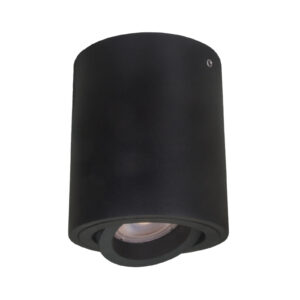 Surface mounted ceiling light Lux Lucia – surface mounted ceiling lights in black and steel