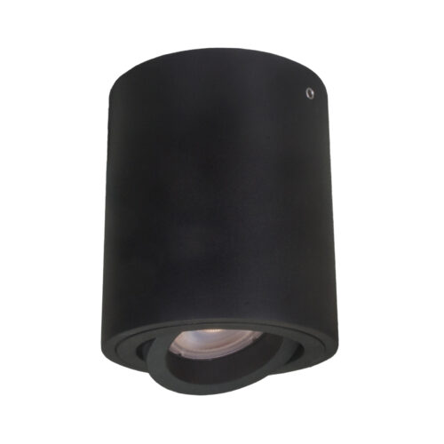 Surface mounted ceiling light Lux Lucia – surface mounted ceiling lights in black and steel