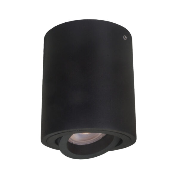 Surface mounted ceiling light Lux Lucia – surface mounted ceiling lights in black and steel
