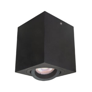 Surface mounted ceiling light Lux Emilio 50w – surface mounted ceiling lights in black and steel