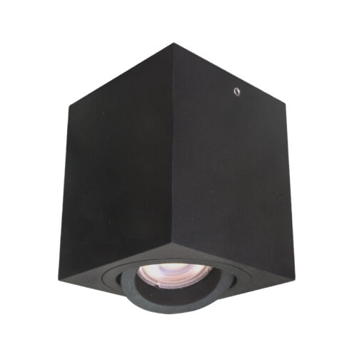 Surface mounted ceiling light Lux Emilio 50w – surface mounted ceiling lights in black and steel