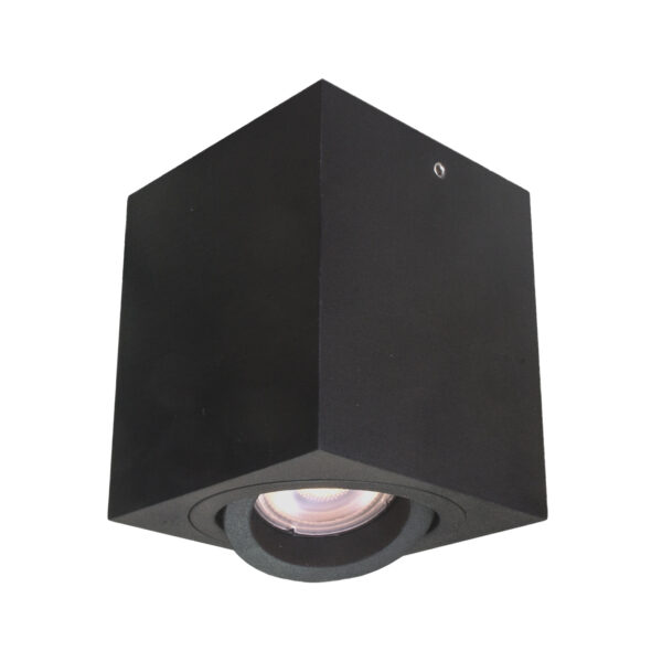 Surface mounted ceiling light Lux Emilio 50w – surface mounted ceiling lights in black and steel