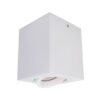 Surface mounted ceiling light Lux Emilio – surface mounted ceiling lights in white and steel