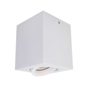 Surface mounted ceiling light Lux Emilio – surface mounted ceiling lights in white and steel
